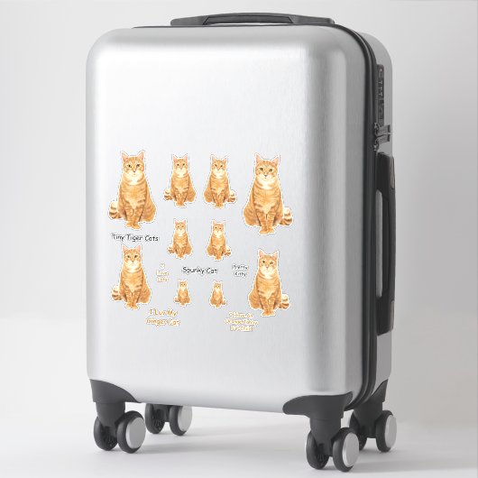 Oranje Tabby Cat Lg Sticker Set (Koffer)