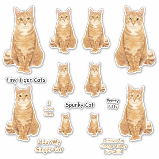 Oranje Tabby Cat Lg Sticker Set (Voorkant)