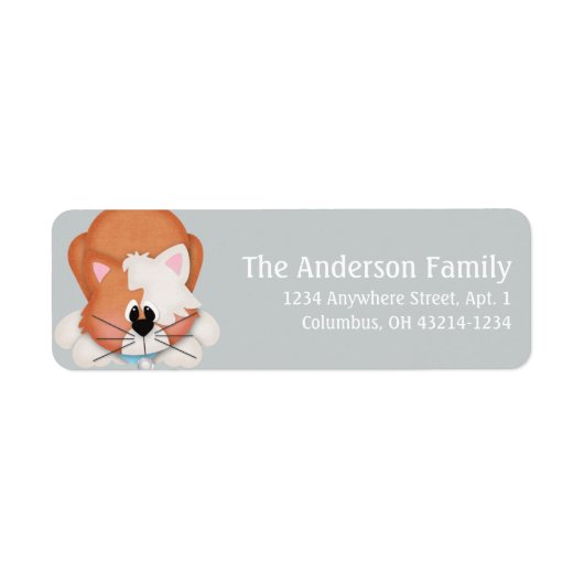 Oranje Tabby Cat Retour Adreslabels Etiket (Voorkant)