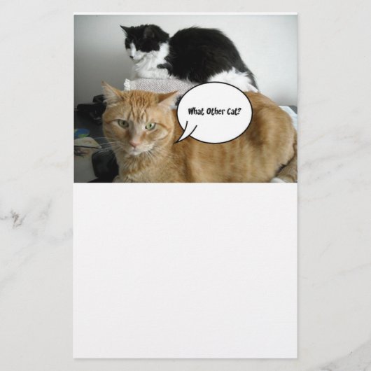 Oranje Tabby Cat Sorry Briefpapier (Voorkant)