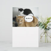 Oranje Tabby Cat Sorry Briefpapier (Staand voorkant)