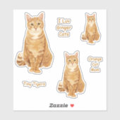 Oranje Tabby Cat Sticker Set (Vel)