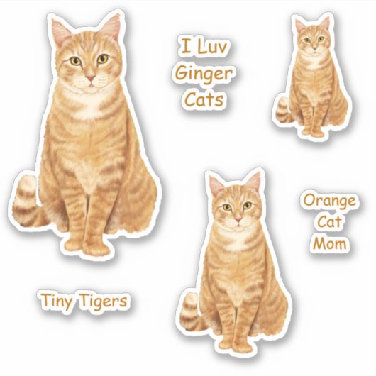 Oranje Tabby Cat Sticker Set (Voorkant)