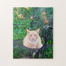 Oranje Tabby Cat Zittend in Stoel Foto Legpuzzel