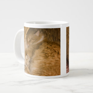 Oranje tabby die slaapt in de wasmand grote koffiekop