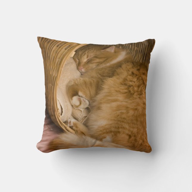 Oranje tabby die slaapt in de wasmand kussen (Voorkant)