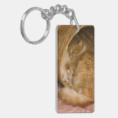 Oranje tabby die slaapt in de wasmand sleutelhanger (Voorkant Links)