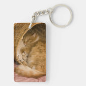 Oranje tabby die slaapt in de wasmand sleutelhanger (achterkant)