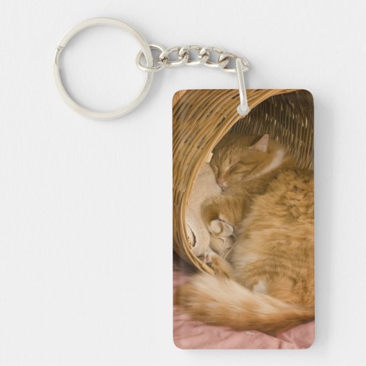 Oranje tabby die slaapt in de wasmand sleutelhanger (Voorkant)