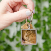 Oranje tabby die slaapt in de wasmand sleutelhanger (Hand)