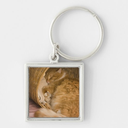 Oranje tabby die slaapt in de wasmand sleutelhanger (Voorkant)