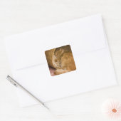 Oranje tabby die slaapt in de wasmand vierkante sticker (Envelop)