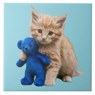Oranje tabby en teddybeer decoratieve Tegel Tegeltje