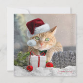 Oranje Tabby FLAT 5.25-inch kerst Kaart (Voorkant)