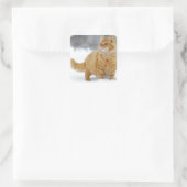 Oranje Tabby in de sneeuw Vierkante Sticker (Tas)