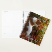 Oranje Tabby Kat - Dagelijkse Planner- HAMbWG Planner (Display)