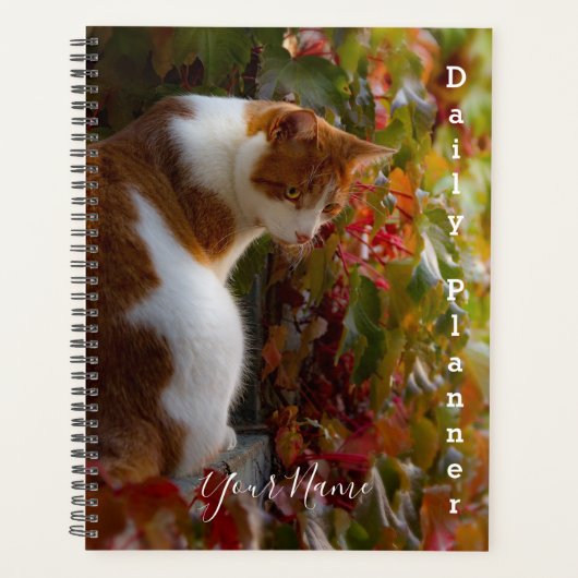 Oranje Tabby Kat - Dagelijkse Planner- HAMbWG Planner (Voorkant)