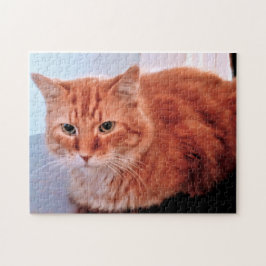 Oranje Tabby Kat Foto Gezelschapshuisdier Legpuzzel