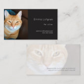 Oranje tabby kat huisdier sitter visitekaartje (Voorkant / Achterkant)