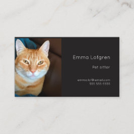 Oranje tabby kat huisdier sitter visitekaartje