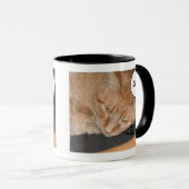 Oranje Tabby Kat Humor Mok (Voorkant rechts)