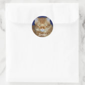 Oranje Tabby Kat Lach Sticker (Tas)