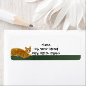 Oranje Tabby Kat op Groene Omheining Etiket (Insitu)