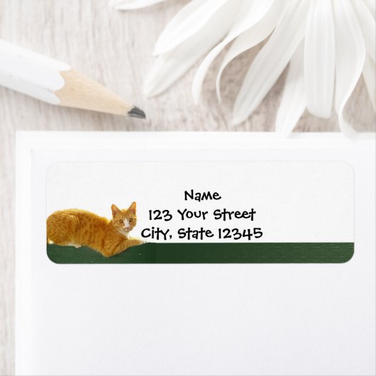 Oranje Tabby Kat op Groene Omheining Etiket (Insitu)