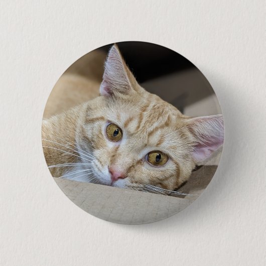 Oranje Tabby Kat Schattig  Ronde Button 5,7 Cm (Voorkant)
