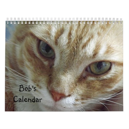Oranje tabby kattenkalender met Bob Kalender (Hoes)