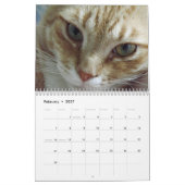 Oranje tabby kattenkalender met Bob Kalender (Feb 2027)