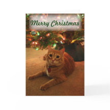 Oranje Tabby Kerst Kaart