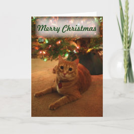Oranje Tabby Kerst Kaart