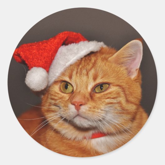 Oranje Tabby Kerstman Kat Envelope Zegels Stickers (Voorkant)