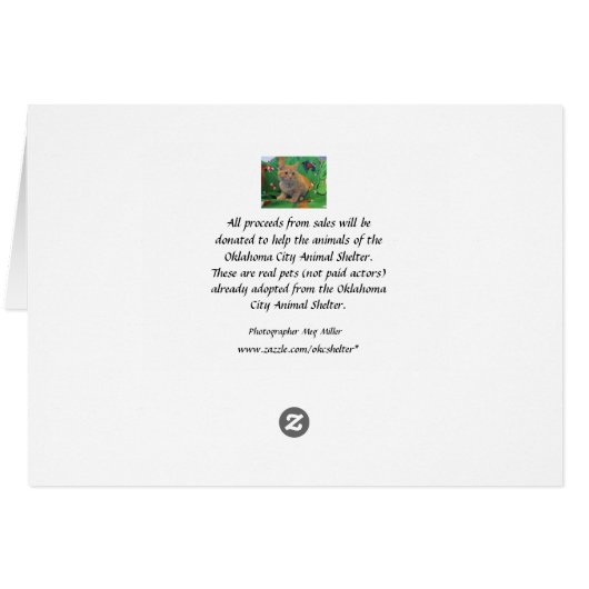 Oranje Tabby Kitten (Achterkant Horizontaal)