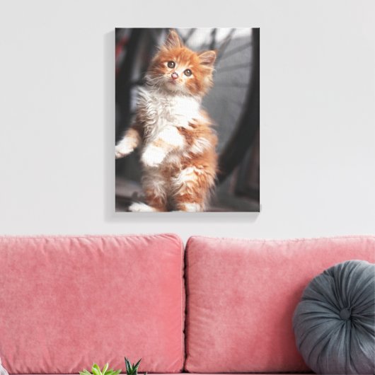 Oranje Tabby Kitten Canvas Afdruk (Insitu (Woonkamer))