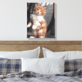 Oranje Tabby Kitten Canvas Afdruk (Insitu (Slaapkamer))