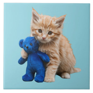 Oranje Tabby Kitten en Teddy Decoratieve Tegel Tegeltje