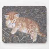 Oranje Tabby Kitten Muismat (Voorkant)