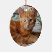 Oranje Tabby Kitten Ornament (Rechts)
