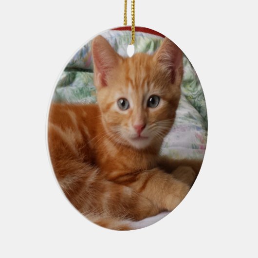 Oranje Tabby Kitten Ornament (Rechts)