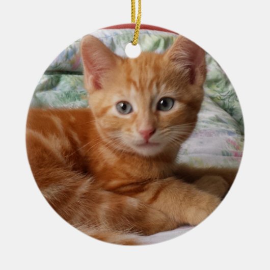Oranje Tabby Kitten Ornament (Voorkant)