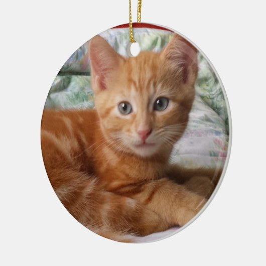 Oranje Tabby Kitten Ornament (Links)