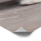 Oranje Tabby Kitten Poster (Hoek)