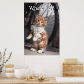 Oranje Tabby Kitten Poster (Keuken)