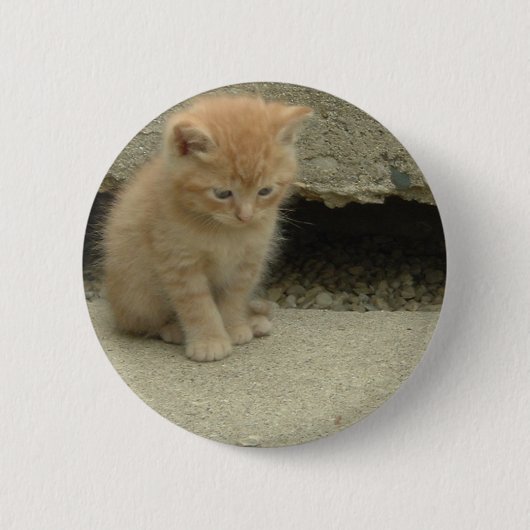 Oranje Tabby Kitten Ronde Button 5,7 Cm (Voorkant)