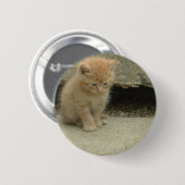 Oranje Tabby Kitten Ronde Button 5,7 Cm (Voorkant /achterkant)