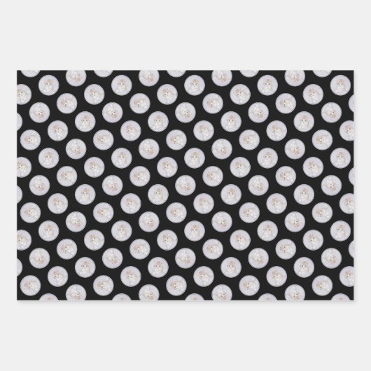 Oranje Tabby Kitten Schilderen Schattigee Originel Inpakpapier Vel (Voorkant 3)