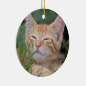 Oranje Tabby Kitten-siermiddel Keramisch Ornament (Rechts)