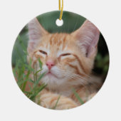 Oranje Tabby Kitten-siermiddel Keramisch Ornament (Voorkant)